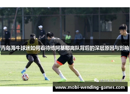 青岛海牛球迷如何看待博阿基耶离队背后的深层原因与影响 青岛海牛球迷如何看待博阿基耶离队背后的深层原因与影响